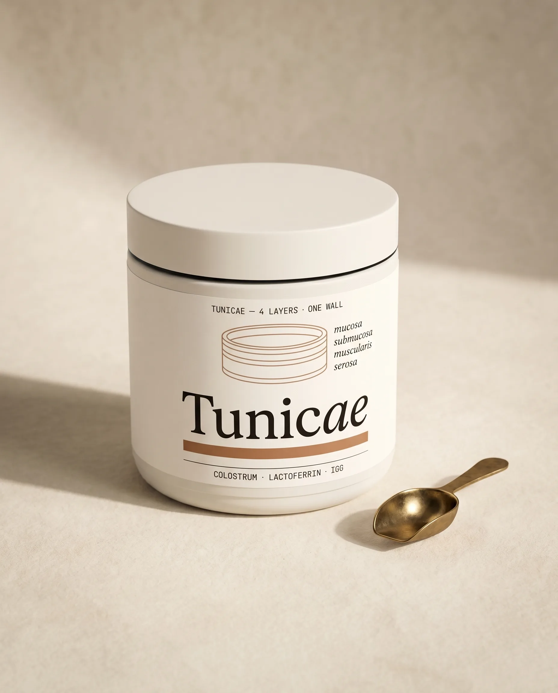 Starter — TUNICAE